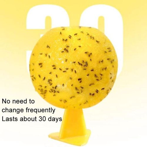 8cm Fruit Fly Balls Indoor Insect Trap Sticky Insect Balls