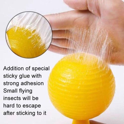 8cm Fruit Fly Balls Indoor Insect Trap Sticky Insect Balls
