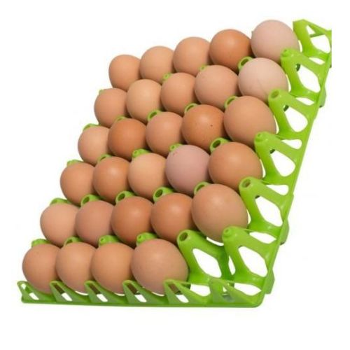 One(1) Original Strong Plastic Egg Trays In Various Colors - Blue, Yellow, Red, etc
