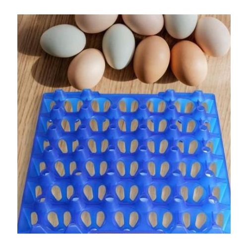One(1) Original Strong Plastic Egg Trays In Various Colors - Blue, Yellow, Red, etc