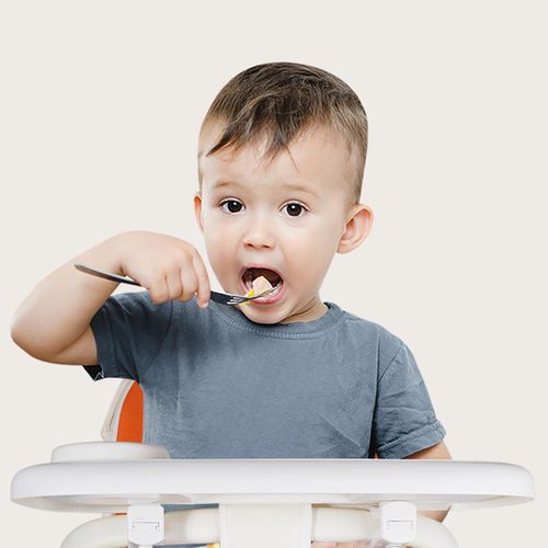Baby  Tray  Feeding Bottles Holder White