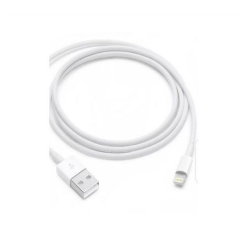 White Original IPhone USB Charger - White