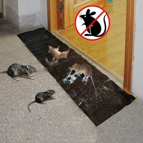 2 pcs Mouse Rodent Glue Rat Trap Board Mice Killer  Length:1.2m Long