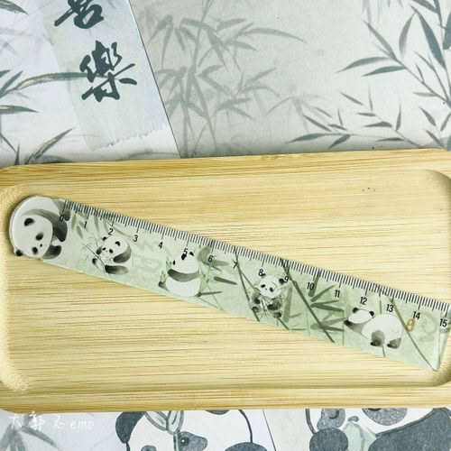 4PCs Ruler Panda Student Ruler Set Special for Student Learning
