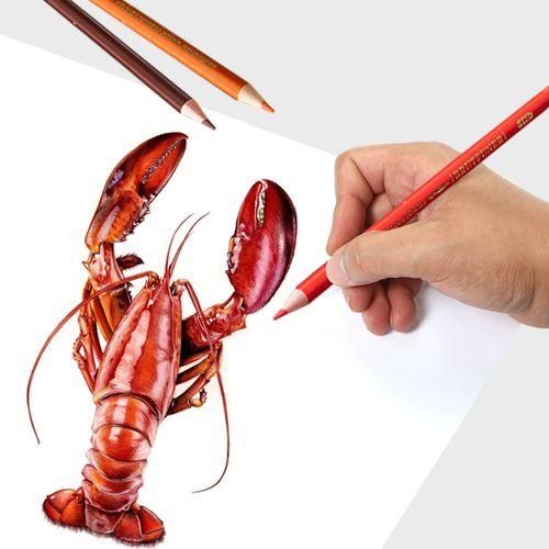 72 Oil Colored Pencils Set PreSharpened