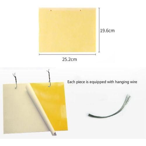 Doublesided Stick Insect Board