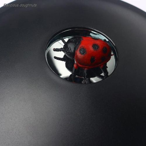 3D Mirror Illusion Creator Mirage Black Hologram Maker Parabolic Reflector for Children Education Science Fun Play Toys