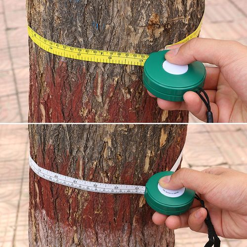 Tree Diameter Tape 2000 Mm 79 Inch PVC Soft