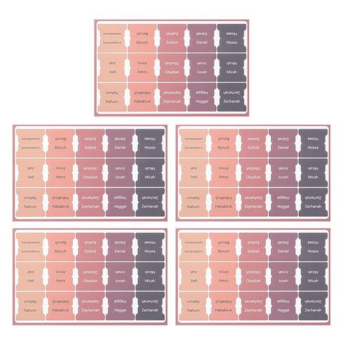 5 Sheet Bible Index Tabs Easy Read Bible Book Tabs Large Print Laminated Bible Tabs Study Supplies Decorative Label Study Tool