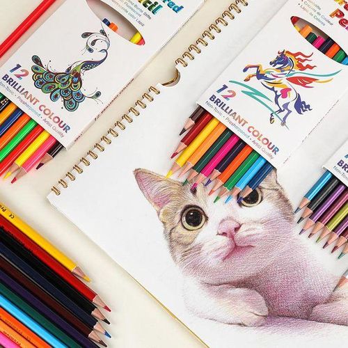 12 Colors Water Soluble Color Pencil Student Drawing Crayon