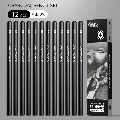 Professional 2H HB B 2B 3B 4B 6B 8B 12B 14B Sketch Drawing Graphite Charcoal Pencils Set Drawing Sketching for Artists Beginners