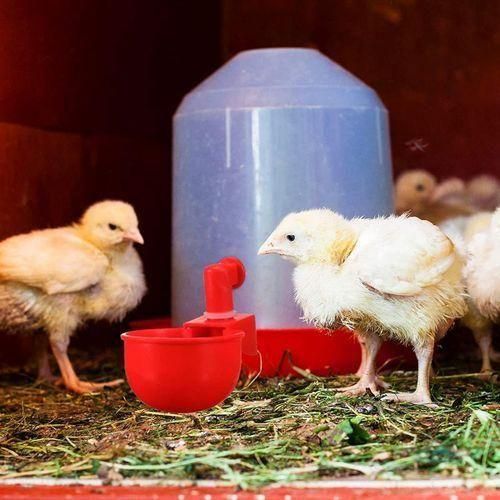 20Pcs Automatic Poultry Drinker Bowl Chicken Water Cups Duck Drinking Machine Hanging Drinking Bowls Water Dispenser