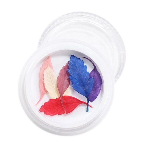 3D Real Dried Flowers Stickers Nail Art Decoration Tips DIY - , 4cm 15