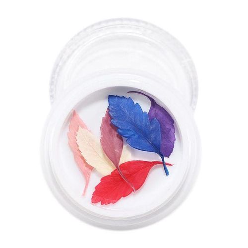 3D Real Dried Flowers Stickers Nail Art Decoration Tips DIY - , 4cm 15