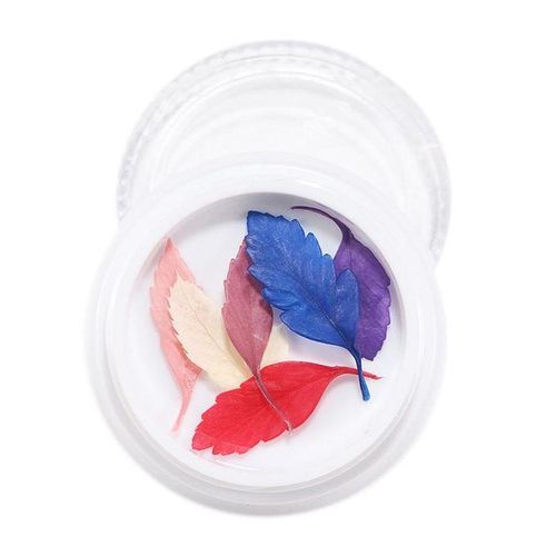 3D Real Dried Flowers Stickers Nail Art Decoration Tips DIY - , 4cm 15