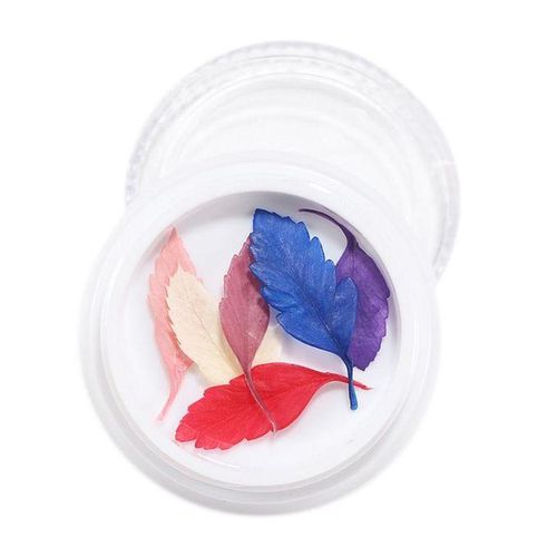 3D Real Dried Flowers Stickers Nail Art Decoration Tips DIY - , 4cm 15