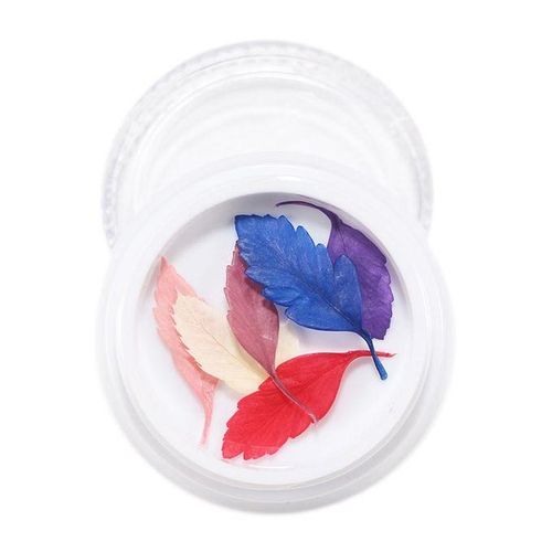 3D Real Dried Flowers Stickers Nail Art Decoration Tips DIY - , 4cm 15