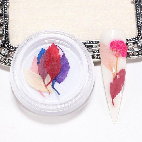 3D Real Dried Flowers Stickers Nail Art Decoration Tips DIY - , 4cm 15