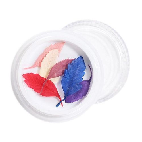 3D Real Dried Flowers Stickers Nail Art Decoration Tips DIY - , 4cm 15