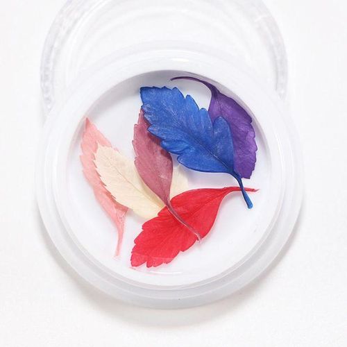 3D Real Dried Flowers Stickers Nail Art Decoration Tips DIY - , 4cm 15
