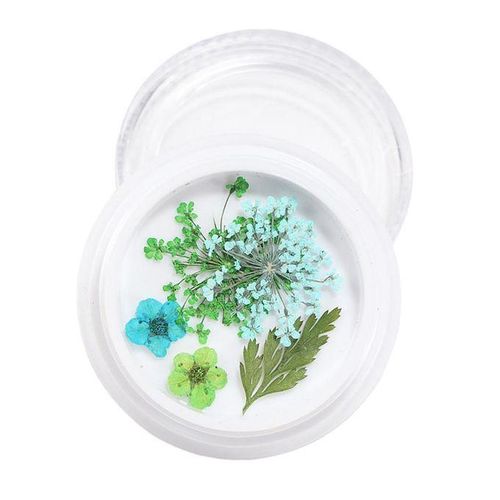 3D Real Dried Flowers Stickers Nail Art Decoration Tips DIY - , Cm 4