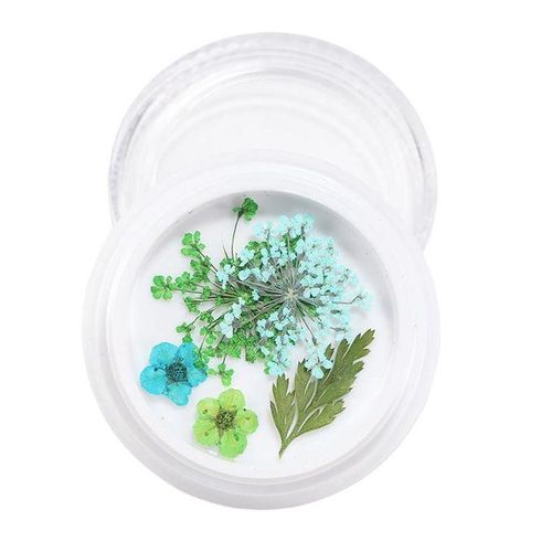 3D Real Dried Flowers Stickers Nail Art Decoration Tips DIY - , Cm 4