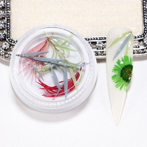3D Real Dried Flower 14
