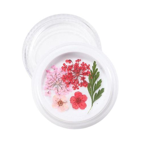 3D Real Dried Flower 2