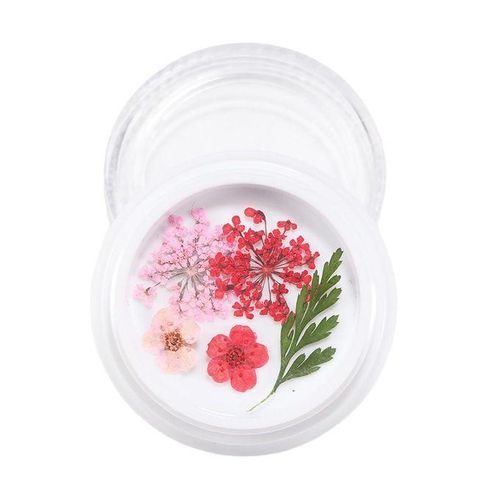 3D Real Dried Flower 2