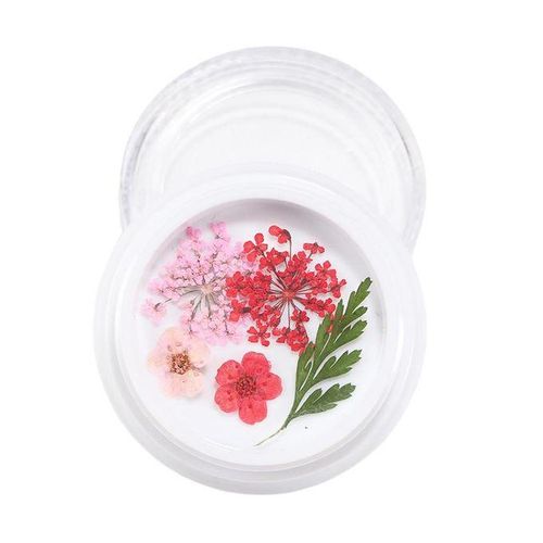 3D Real Dried Flower 2