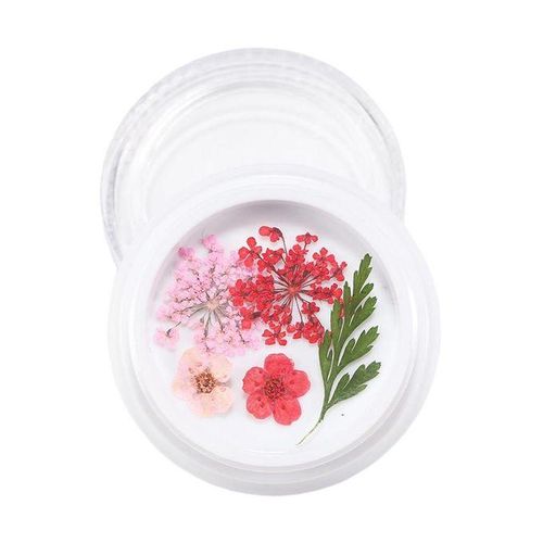 3D Real Dried Flower 2