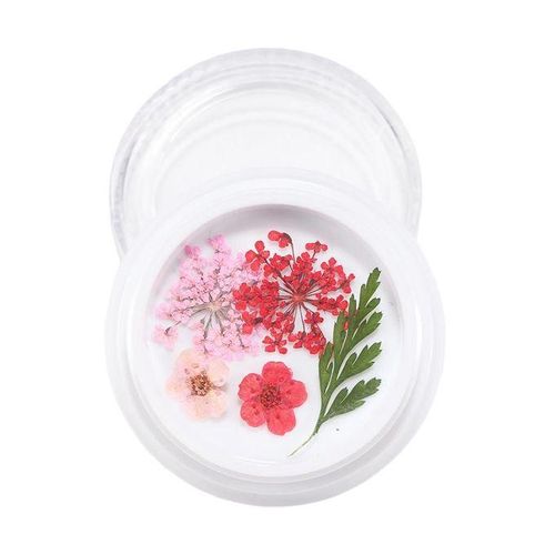 3D Real Dried Flower 2