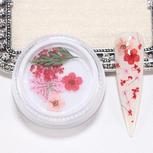 3D Real Dried Flower 2