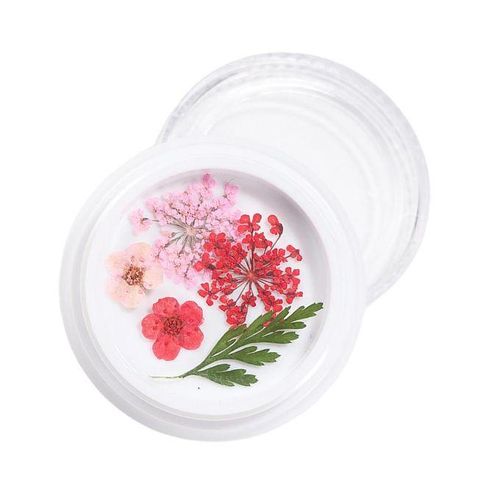 3D Real Dried Flower 2