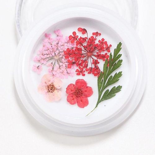 3D Real Dried Flower 2