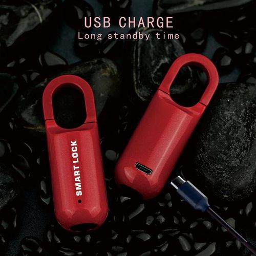 Mini Fingerprint Padlock Usb Keyless Luggage Lock Electronic Lock Smart Biometric Fingerprint Door Lock Quick Unlock For Travel