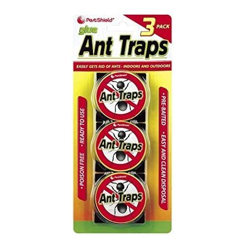 Other Glue Ant Traps 3pack
