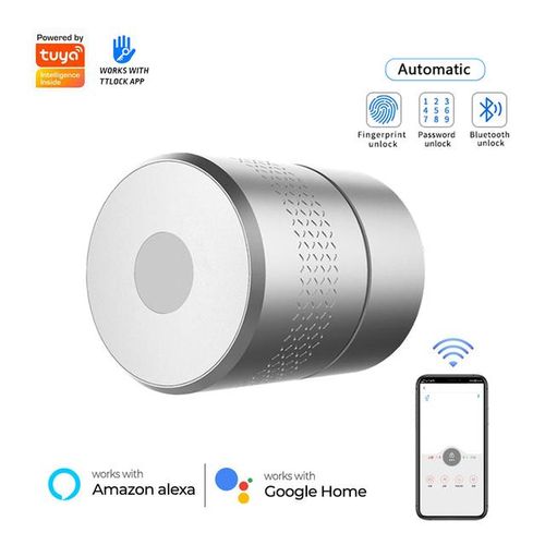 Wehere Smart Lock M531 Tuya/ttlock Fingerprint Remote Control Support Alexa Wifi Wireless Cylinder Cut Key Switch