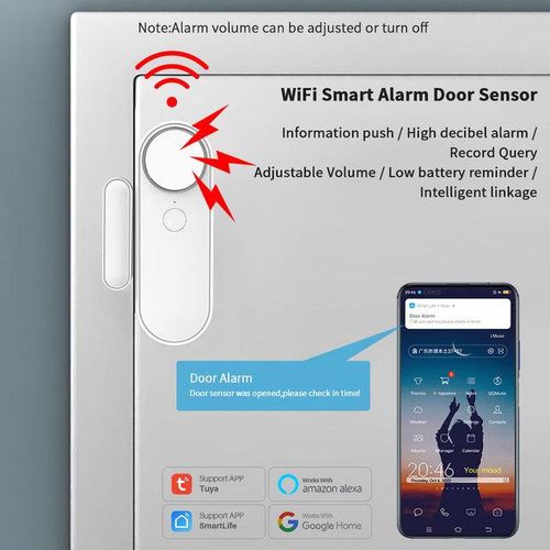 Tuya Wifi Door Sensor With Sound Alarm Window Open/closed Independent Magnetic Sensor Work With Alexa Google Home