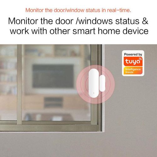 Tuya Wifi Door Sensor With Sound Alarm Window Open/closed Independent Magnetic Sensor Work With Alexa Google Home