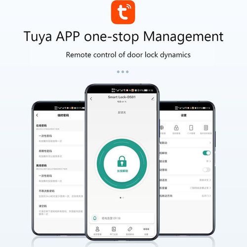 Tuya App Smart Deadbolt Locks Entry Front Door Keyless Fingerprint Keypad Digital Bluetooth-Compatible Lock For Home Apartment