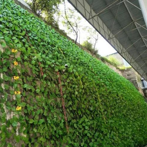 12pcs Artificial Vine Leaves Creeping Ivy Decorations