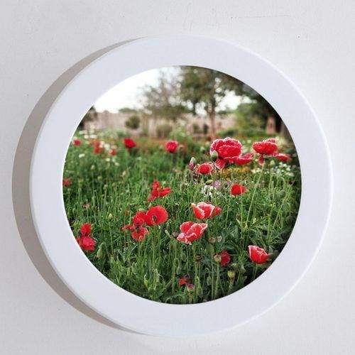 Classic Wooden Picture Display Frame Picture Holder Ornament Wall