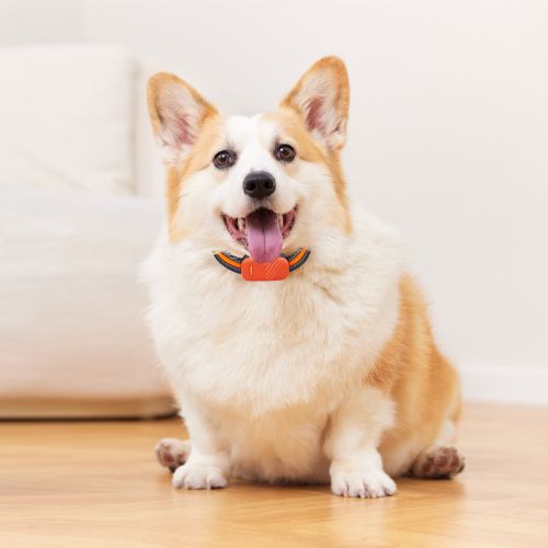 Pet Tracker GPS Waterproof Electronic Fence  Dog Cat Collar