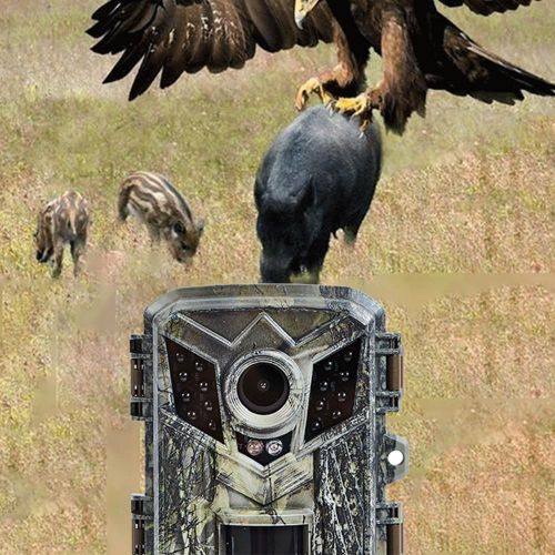 IP66 Hunting Camera 0.2s Trigger Speed Night Vision Trail Camera for Wildlife Monitoring