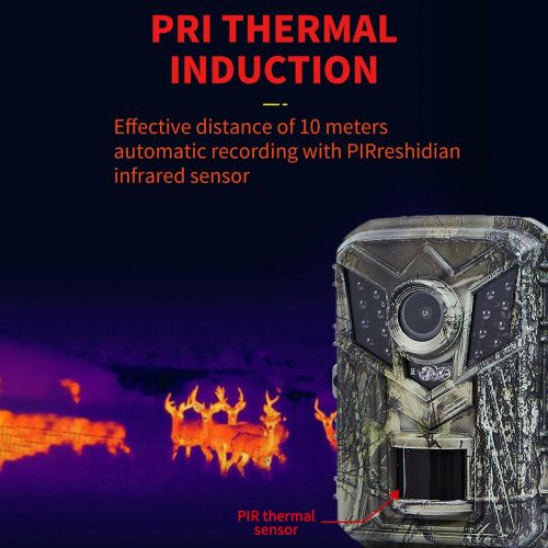 IP66 Hunting Camera 0.2s Trigger Speed Night Vision Trail Camera for Wildlife Monitoring