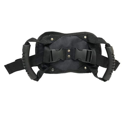 Motorcycle Back Seat Armrest, Passenger Grip Grab Handle Non