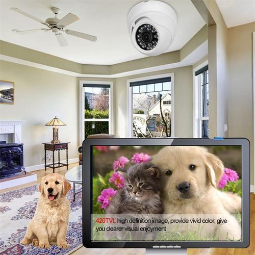 420tvl 3.6mm Hemisphere Ip Camera Outdoor H.264 Waterproof Dome Indoor Wide Angle Home Security Baby Safety Cam