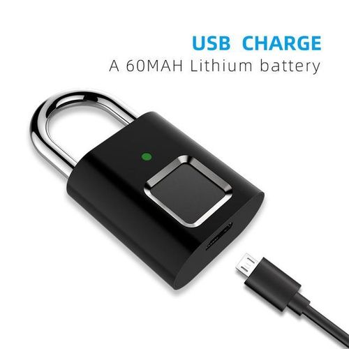Fingerprint Padlock Biometric Metal Keyless Thumbprint Lock Usb Rechargeable For Luggage Bookcase Suitcase Backpack Bike