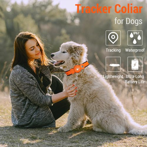 GPS Tracker For Dogs Waterproof IP67 Pet Tracking Smart